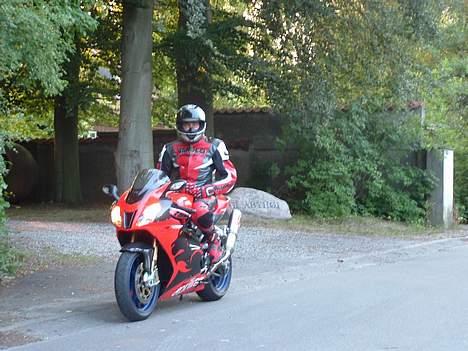 Aprilia RSV 1000 Factory billede 7