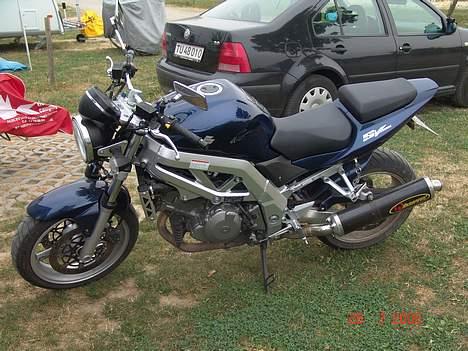 Suzuki SV 1000 *SOLGT* - Billede fra vores ferie i Dresden - en mødbeskidt SVer efter 1000 km motorvej... billede 14