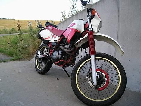 Yamaha XT 600 billede 5