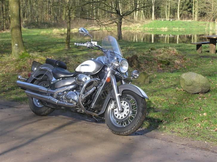 Suzuki VL 800 Volusia (SOLGT) billede 4