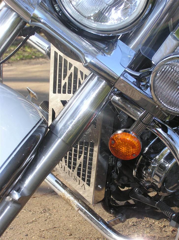 Suzuki VL 800 Volusia (SOLGT) billede 5