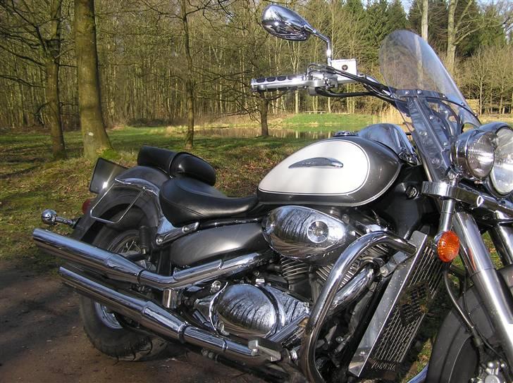Suzuki VL 800 Volusia (SOLGT) billede 11