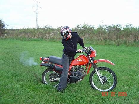 Honda XL 250 R billede 6