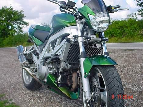 Suzuki SV1000streetfighter solgt billede 8