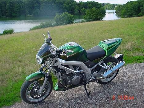 Suzuki SV1000streetfighter solgt billede 14