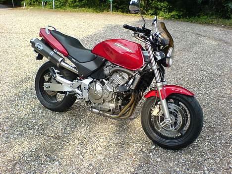 Honda Hornet 600 billede 1