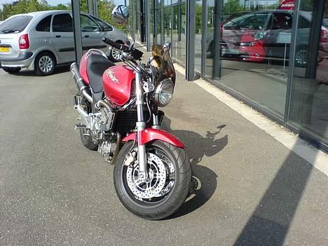 Honda Hornet 600 billede 4