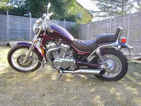 Harley Davidson Sportster xl custom-solgt - Min første mc. Suzuki intruder 700ccm billede 3