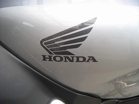 Honda Cbr 1100 XX  billede 4