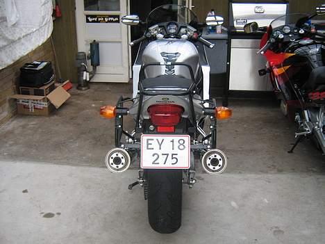 Honda Cbr 1100 XX  billede 6