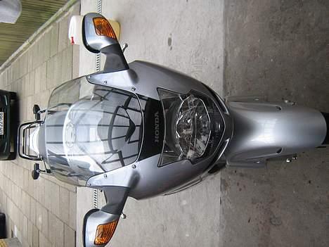 Honda Cbr 1100 XX  billede 7