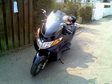 Honda CB600F Hornet *SOLGT* - Min tidligere Suzuki AN400 Burgman (helt ny-2006) billede 13