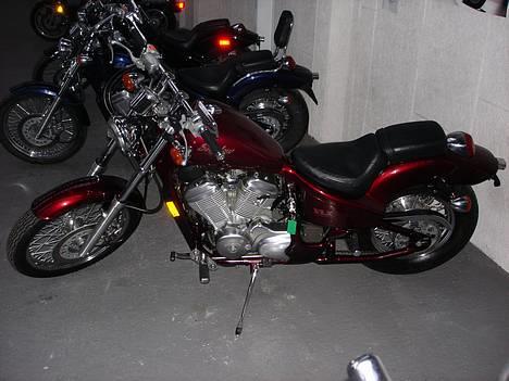 Honda shadow VLX 600 - Rubinen billede 10