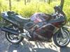 Suzuki RF 900 R [Tidl. motorcykel]