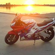 Honda CBR 600 F3 *SOLGT*