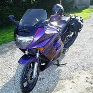 Honda CBR 1000F (SOLGT)