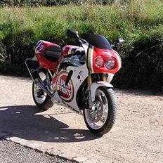 Suzuki GSX-R 750W LuckyStrike