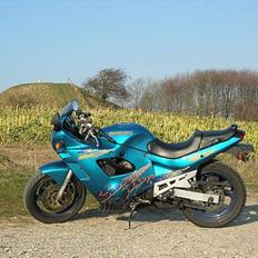 Suzuki GSX 600F
