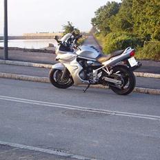 Suzuki Bandit S 600