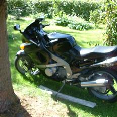 Kawasaki zzr 600