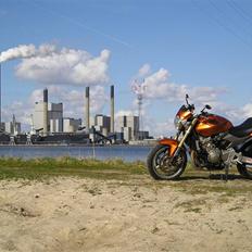 Honda 600 Hornet "SOLGT"