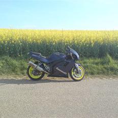 Kawasaki ZXR 750 (solgt)