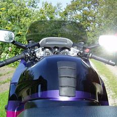 Honda CBR 1000F (SOLGT)