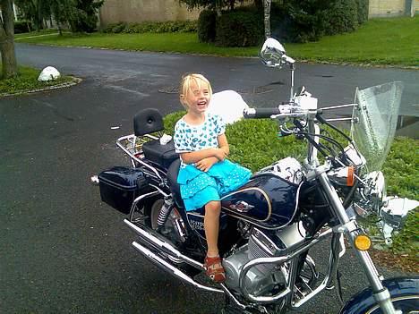 Lifan lf 250-4 billede 12