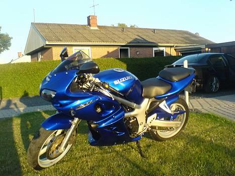 Suzuki sv (solgt) - fin og nypoleret billede 1