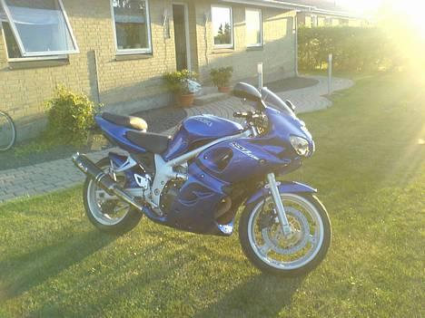 Suzuki sv (solgt) - fin i sollyset billede 4