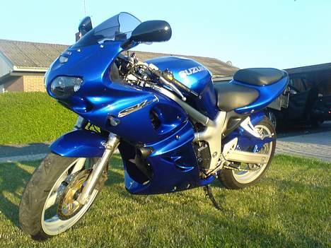 Suzuki sv (solgt) - sv´er som den er bedst :o) billede 5