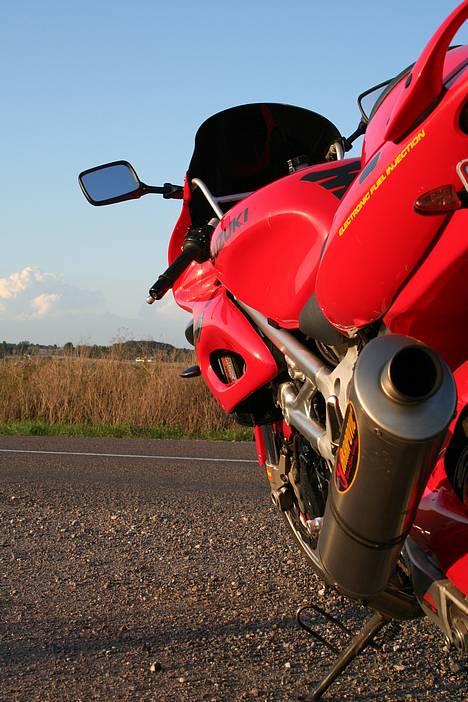 Suzuki TL 1000 S  billede 15