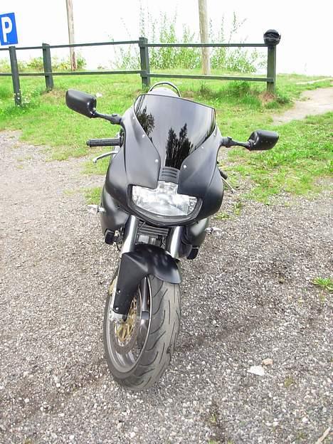 Ducati 750 Sport Dark (solgt) - Billede fra Pomlenakke, Falsters østkyst billede 5