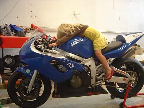 Yamaha R6 (Solgt) - Må jeg ikke prøve en tur... jeg kan godt nå......... billede 16