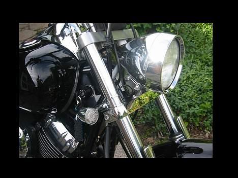 Yamaha Dragstar XVS 650 billede 6