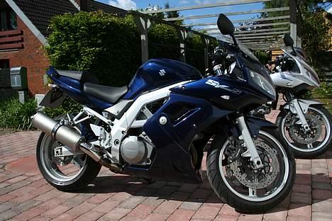 Suzuki Hayabusa K8 - Konens SV1000K5  min egen i baggrunden billede 2