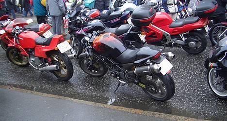 Ducati Monster billede 8