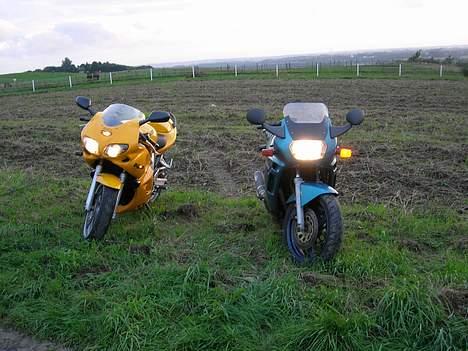 Suzuki GSX 600F billede 12