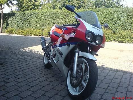 Honda CBR 400 RR #SOLGT# billede 2