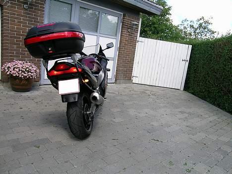 Suzuki Rf 900 R - Givi-boks, en god ting til mc ferie billede 17