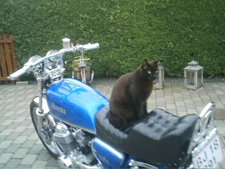 Honda cb750 k7 billede 3