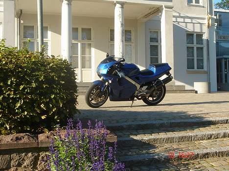 Honda RVF 400 billede 9