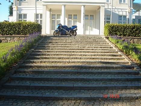 Honda RVF 400 billede 12