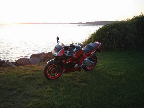 Honda CBR 600 F2 billede 8