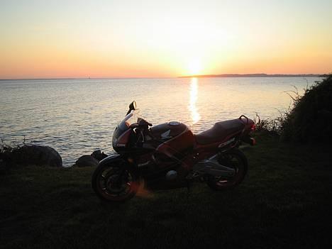 Honda CBR 600 F2 billede 11