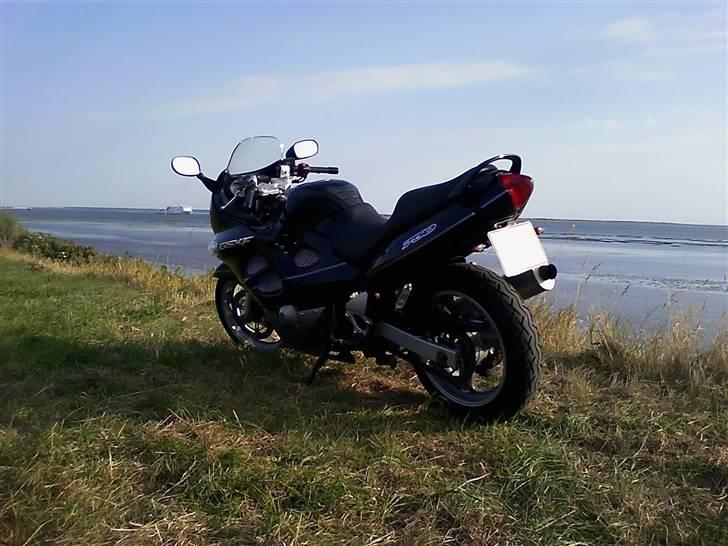 Suzuki GSX 750 F  billede 6