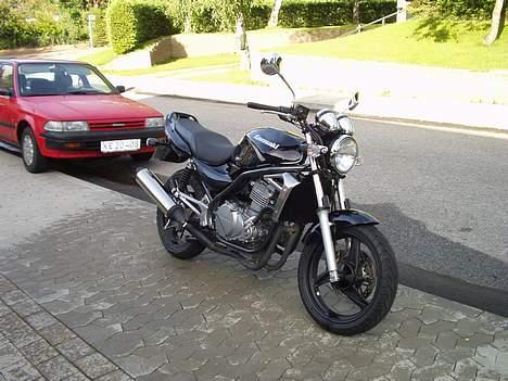 Kawasaki ER 5 billede 2