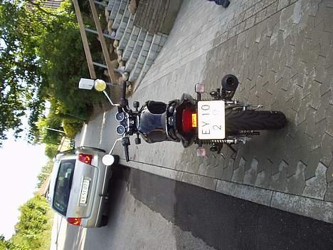 Kawasaki ER 5 billede 5