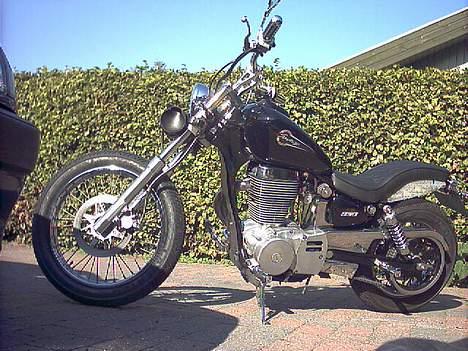 Suzuki savage ls 650 billede 5