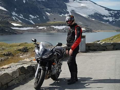 Yamaha fz6 s fazer SOLGT!!!!! billede 4